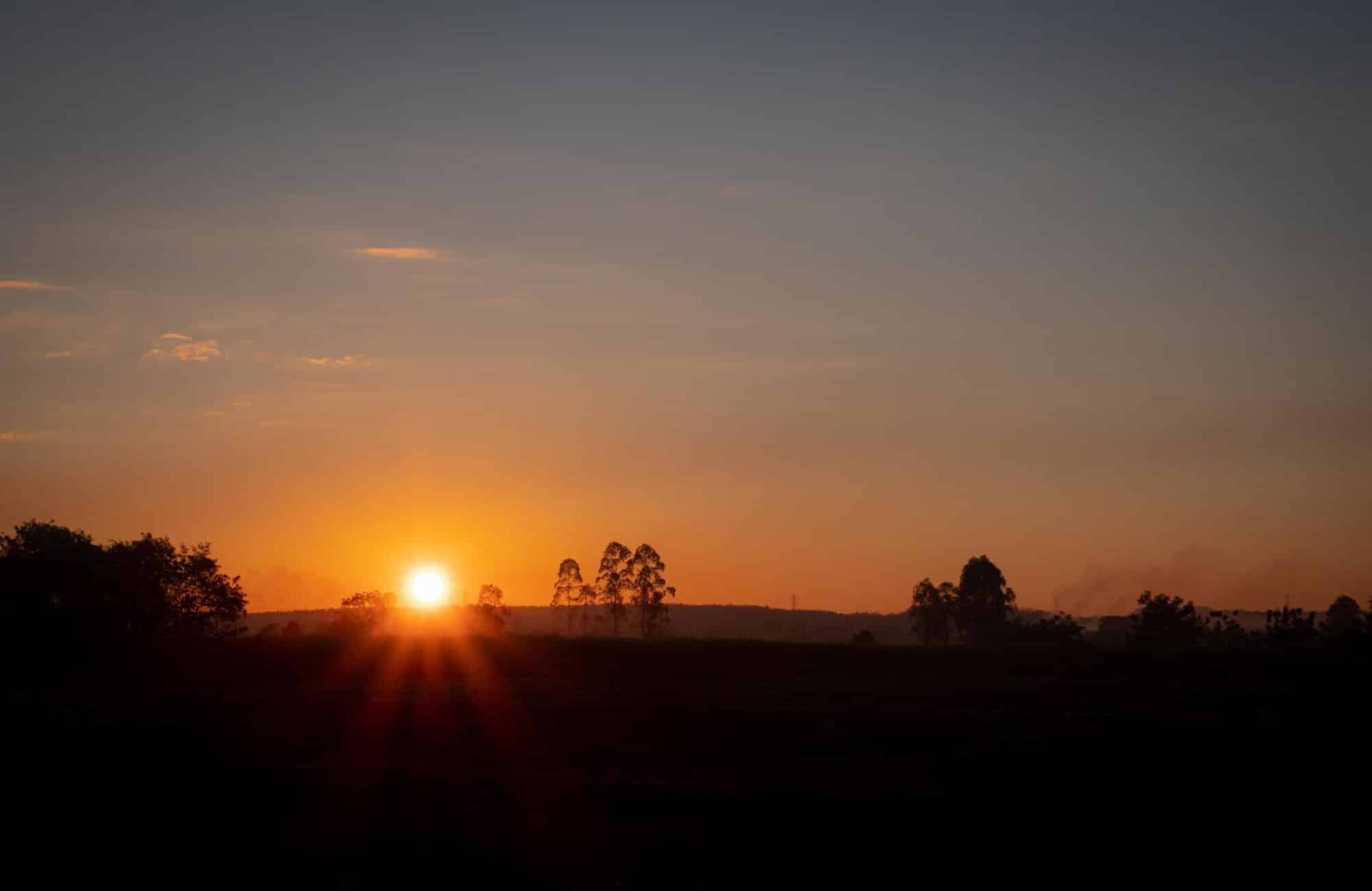 Vitamin D spray or patch? Tablet-free ways to top up your vitamin D this winter cover